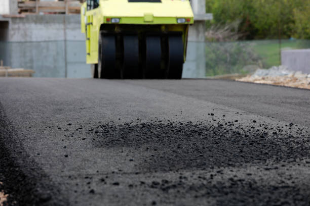 Best Residential Driveway Paver Services  in Wanamingo, MN